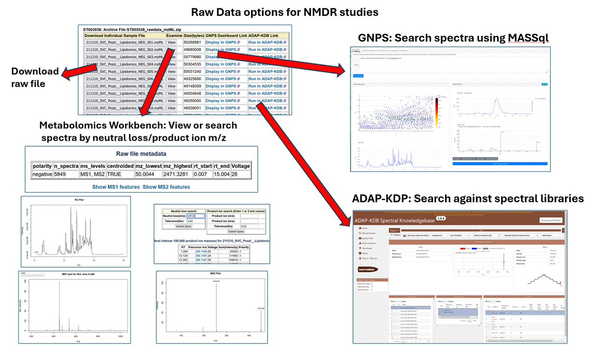 Raw data file inspection, searching and reuse
Each NMDR study has links in the "Download data files" section to these resources. One can view TIC, MS1 and MS2 spectra, and search by neutral loss or product ion m/z without the need to download files.