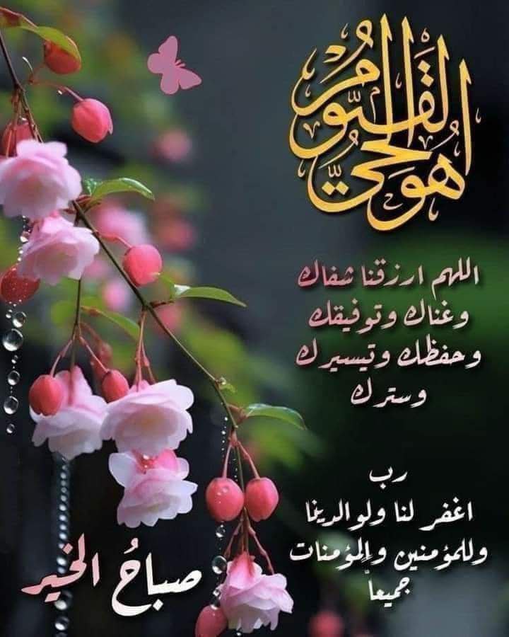 م.أمير الظِلال (@mousa_saeed_mor) on Twitter photo 