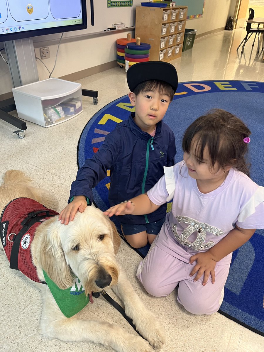 💖First day of school 🐾🐶💖#gibson #MASONmoment #shinelikesable <a href="/MrsBly_MECC/">Melissa Bly</a> <a href="/MasonSchools/">Mason City Schools</a> <a href="/SarahBowser4/">Sarah Bowser</a>