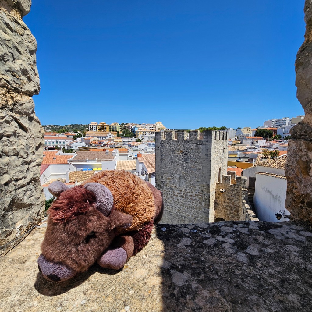 BisonTrack's tweet photo. Thor's passport is filling up fast! 🛂 🇹🇭 🇫🇷 🇮🇹 🇵🇹 Our most recent trip took him to Portugal for the World Superbike races at Portimao, where we supported WSSP300 rider Chris Clark and Women's World Championship racer Mallory Dobbs. https://t.co/ZtocXrIRtb #whereintheworldisthor https://t.co/qmpIpw8BVb