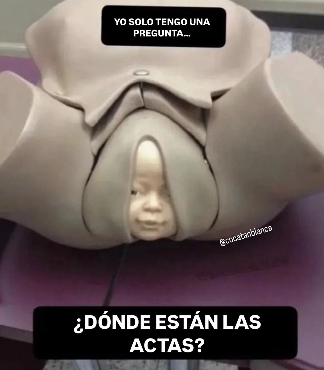cocatanblanca's tweet photo. https://t.co/bES8Yvcogv