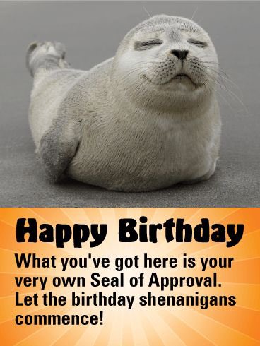 may or may not be celebrating a "Seal Like Birthday! i'm now Two