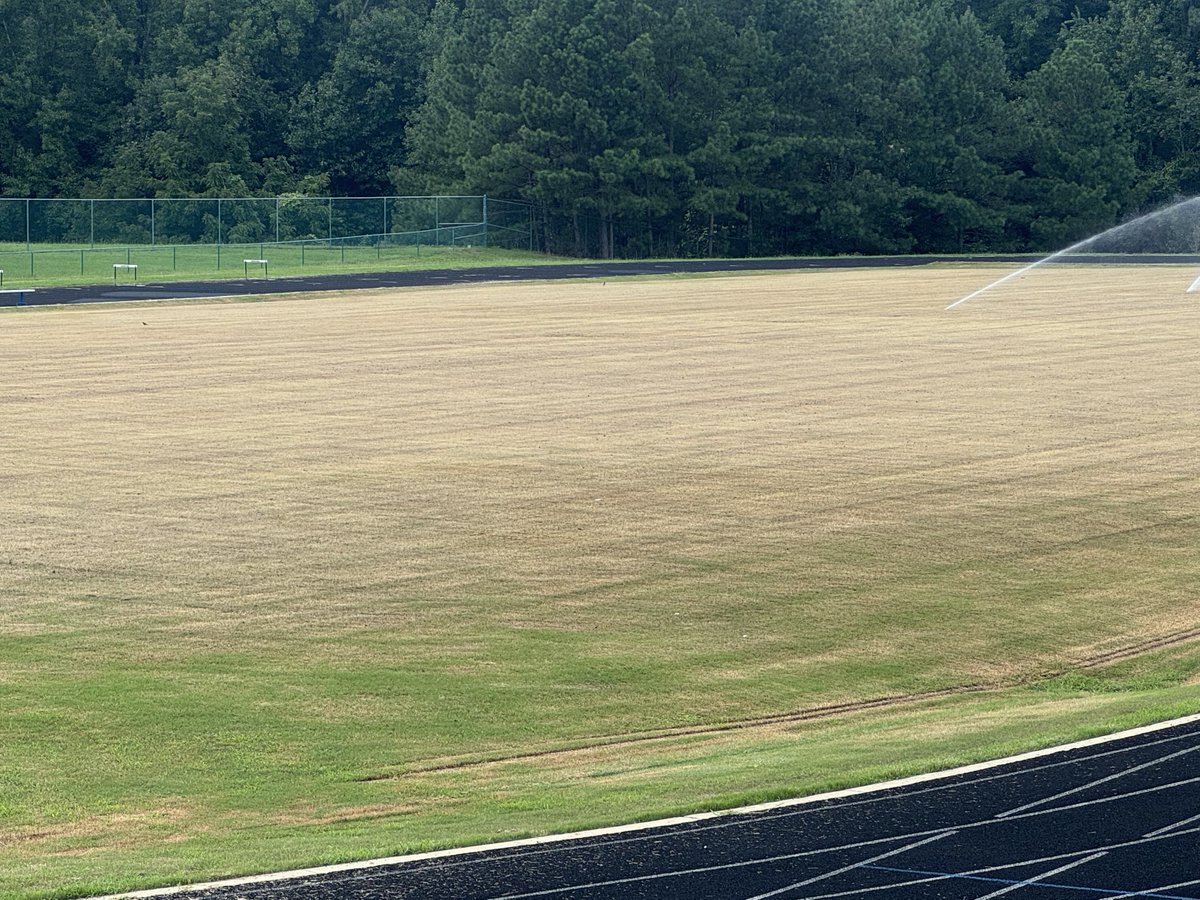 TheTerriBee's tweet image. 🚨Fall armyworms are no joke, y&apos;all. Hitting NC hard and fast after Debby. Keep an eye out for egg masses, caterpillars and be sure to soap flush. Pyrethroids for immediate control, diamides for long-term.