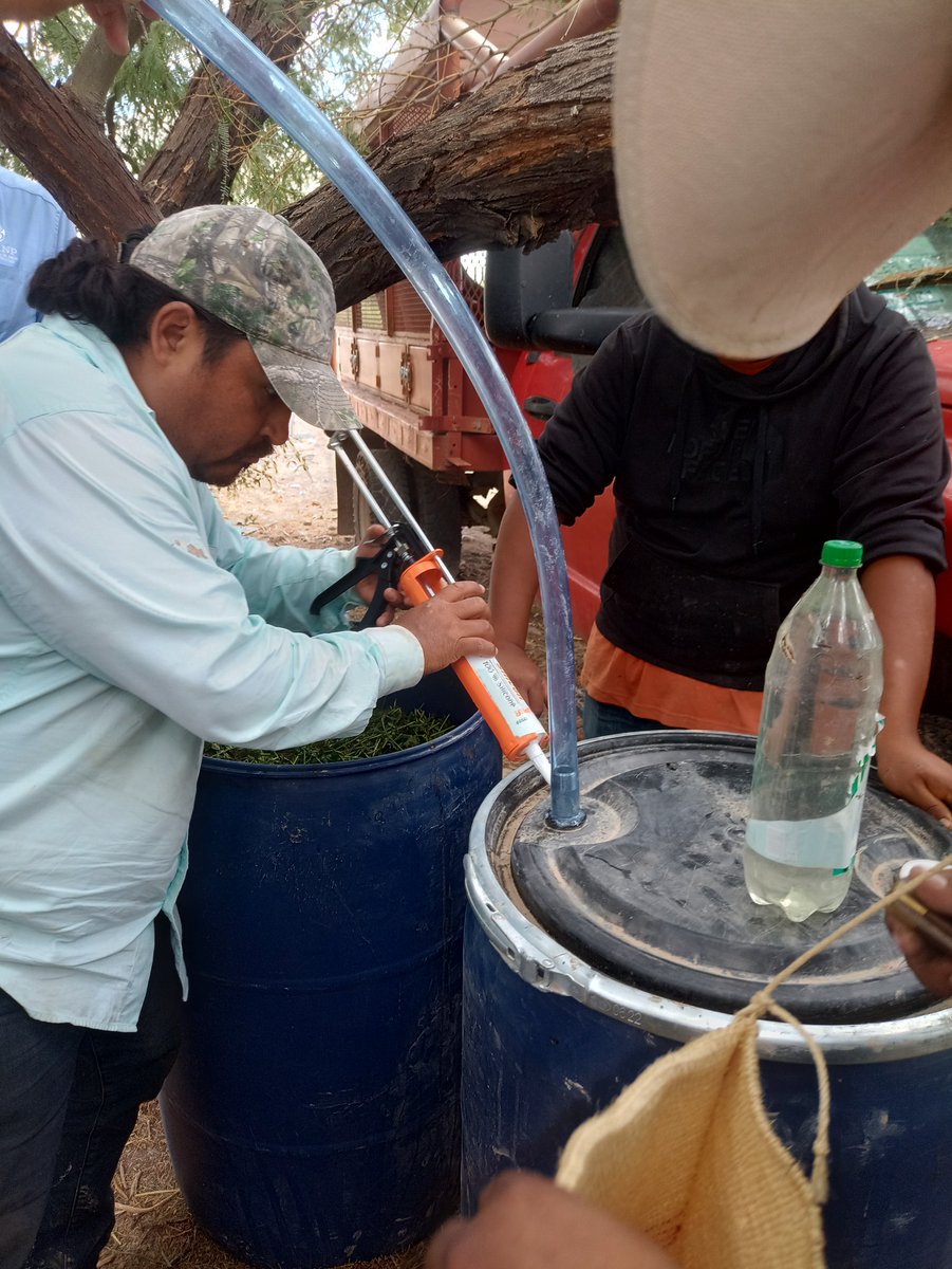 CONANP_mx's tweet photo. Gracias al #PROCODES el ejido Providencia, en el APRN Ríos y Montañas de la #ComarcaLagunera, recibió capacitación para la producción y aplicación de fertilizantes orgánicos. 👏
La labor de las comunidades es indispensable para cuidar la naturaleza. #ConservarParaVivir 🌿🌊🌳🌺 https://t.co/NE5aAABsQP