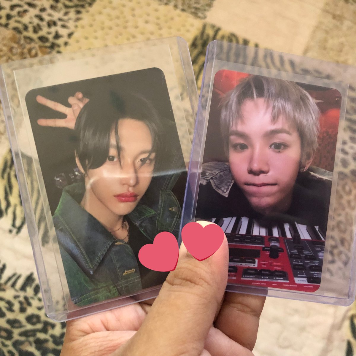 berry_joys's tweet image. wonbin and shotaro pcs have safely arrived! tysm @himwhosells for securely packing the pcs and for letting me adopt them 🥹🧡