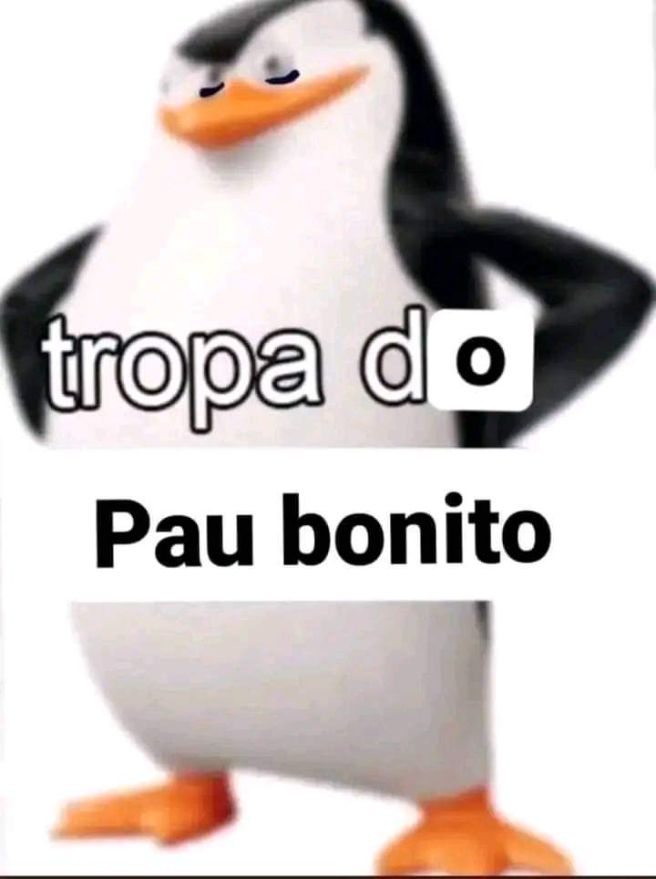 Neto2z's tweet image. #Pintoawards