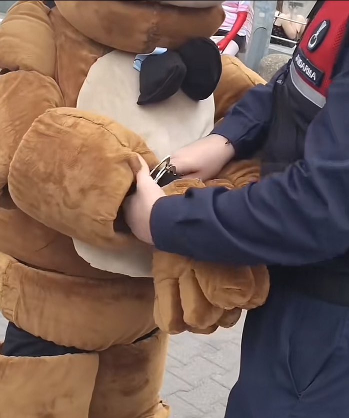 jacrissspy6111's tweet photo. Freddy has been arrested https://t.co/2h1udJsyCB