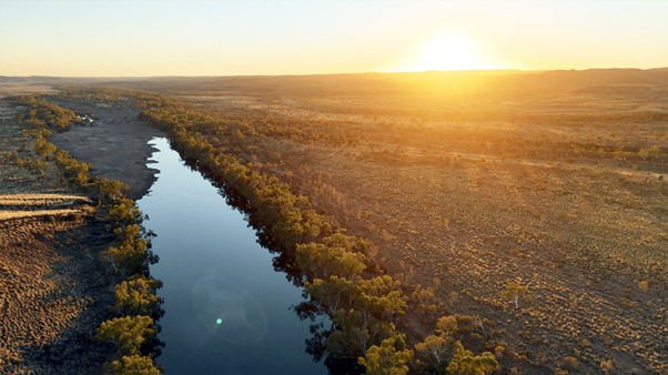 IndigLandSea's tweet photo. The Nyamal Traditional Owners are celebrating the creation of the Purungunya Conservation Park and Purungunya National Park, marking the first new conservation estate in the Pilbara in over a decade! 👏🏽
Full story 👉🏾 https://t.co/wwP7MawuBw

📷 @nit_times 
#CaringForCountry https://t.co/5JreOEeudK