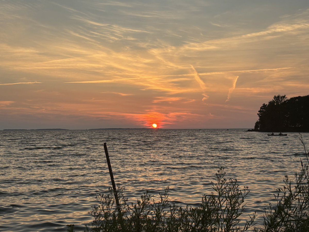 Tracy Fuller tweet media