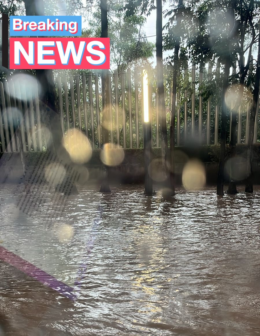 EnlaceTAguilas's tweet photo. 🚨⛑️‼️#urgente @Bomberos_CDMX @SacmexCDMX @AlcaldiaAO @AlcCuajimalpa #ProteccióCivil
se reporta #SantaFe #inundado se requiere apoyo para desasolve en: #AvdelosPoetas #Avtamaulipas #AvSantaFe #CarlosLazo https://t.co/c7asB3hrqI