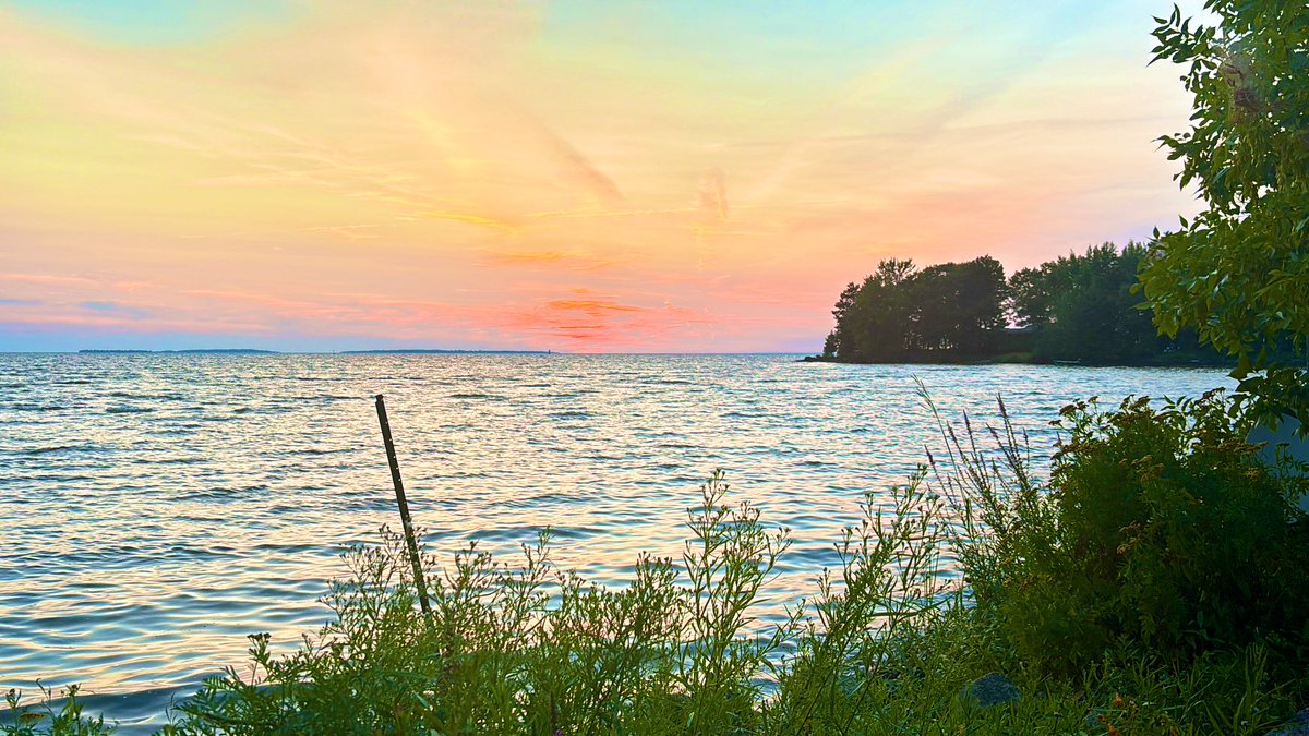 Tracy Fuller tweet media