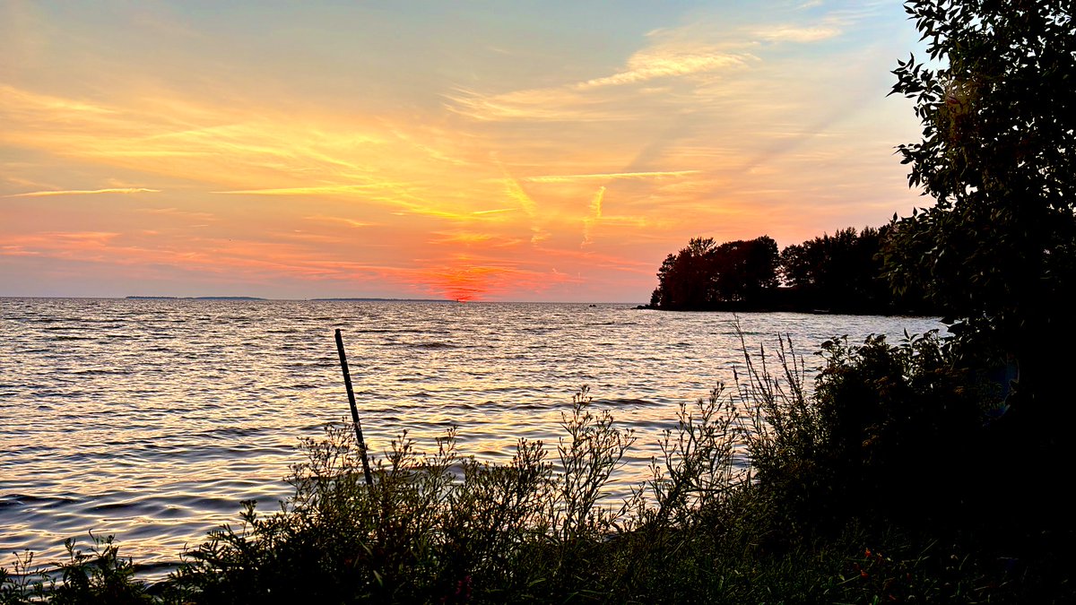 Tracy Fuller tweet media