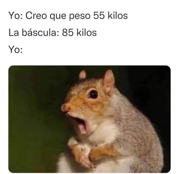🙋🙋🙋🙋🙋🙋🙋🙋