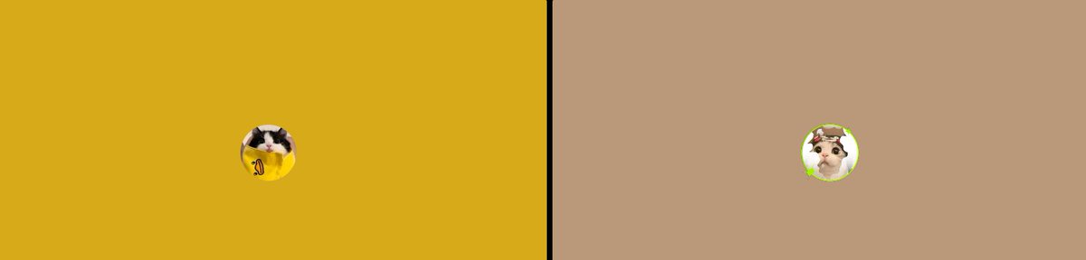 Meu porto seguro 💙🩵💙🩵