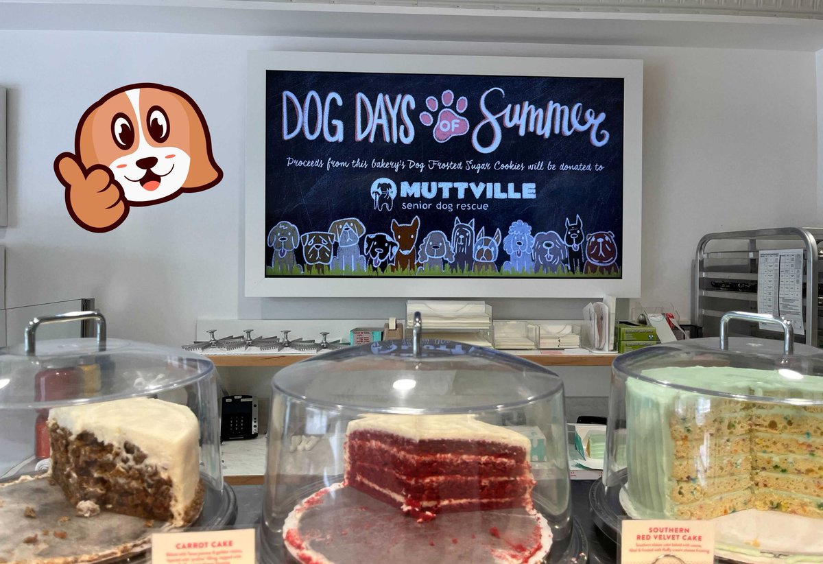 Muttville's tweet photo. #SweetTreat! We're grateful to @Susiecakesbakery for including https://t.co/AtETXuvDNv in their #DogDaysofAugust promotion to support #rescuedogs! Throughout the month, $1 from every purchase of Dog Frosted Sugar Cookies will go towards our #seniordogs! https://t.co/cpVggwwCOx https://t.co/E22J5QUwoL
