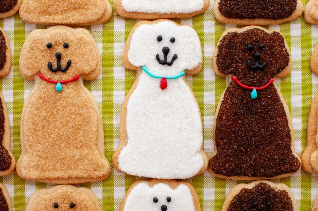 Muttville's tweet photo. #SweetTreat! We're grateful to @Susiecakesbakery for including https://t.co/AtETXuvDNv in their #DogDaysofAugust promotion to support #rescuedogs! Throughout the month, $1 from every purchase of Dog Frosted Sugar Cookies will go towards our #seniordogs! https://t.co/cpVggwwCOx https://t.co/E22J5QUwoL