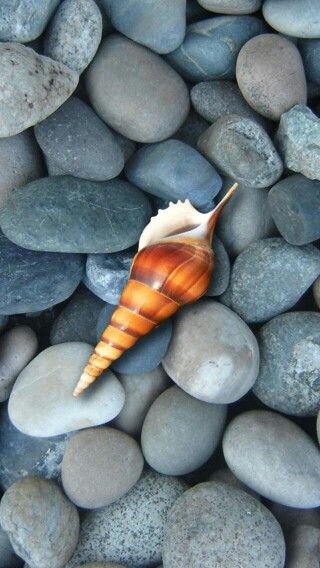 매직타임 (@magicttime) on Twitter photo 