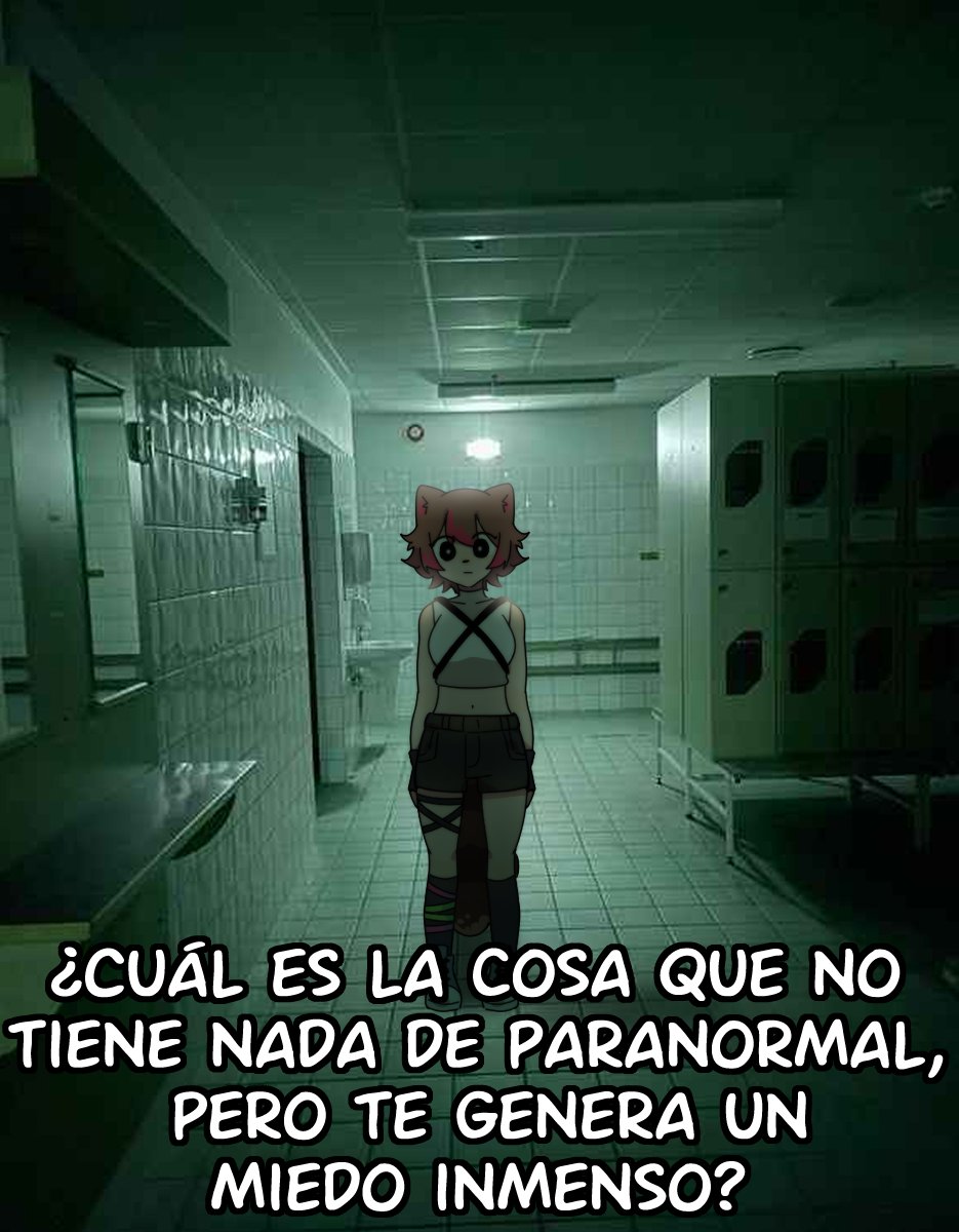 Rakkun 🦝🍀 tweet media