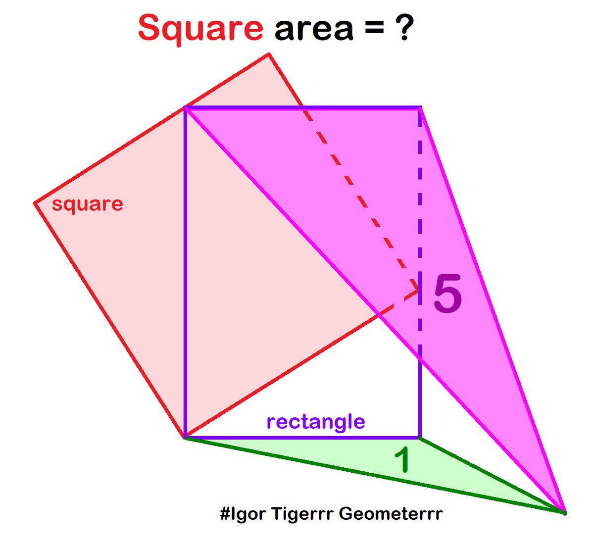 Igor Tigerrr Geometerrr tweet media