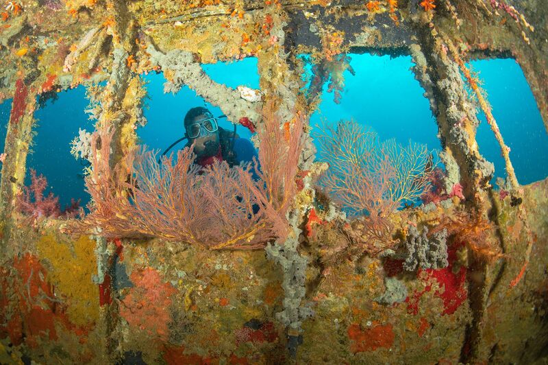 Captain Cook Cruises Fiji tweet media