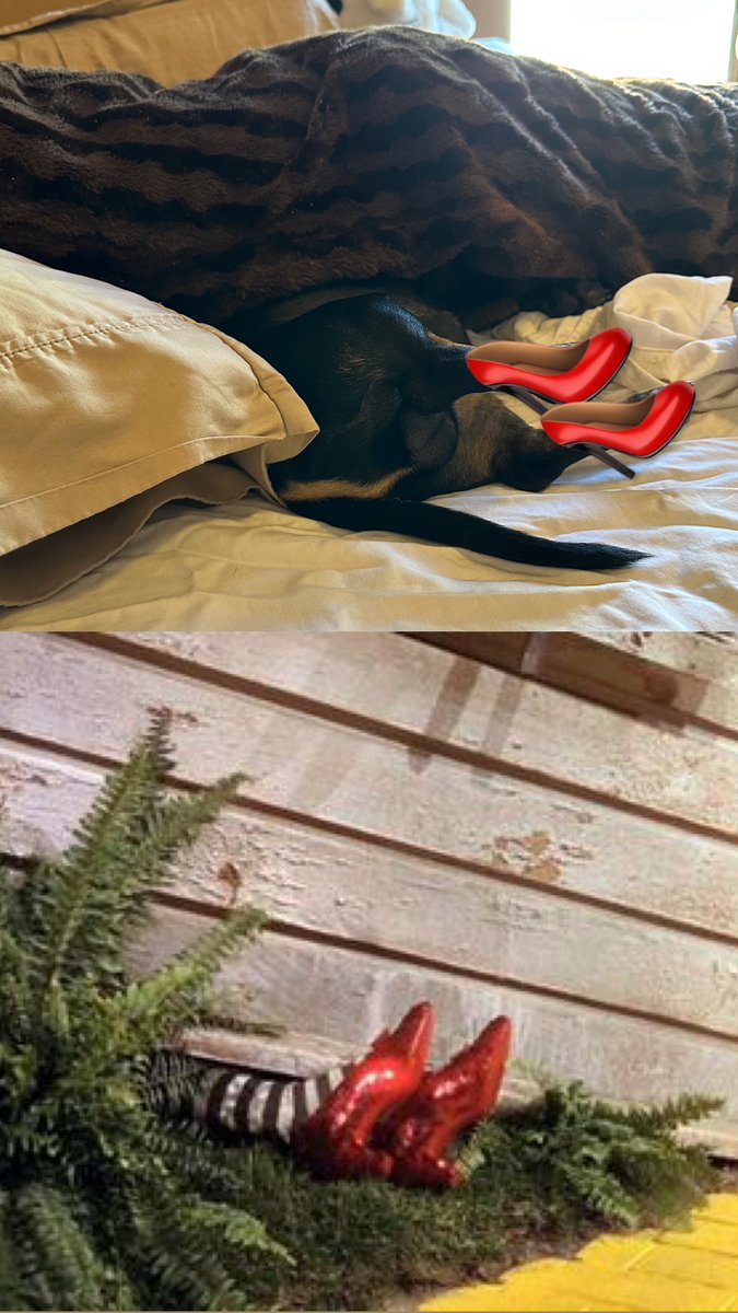 spot the difference