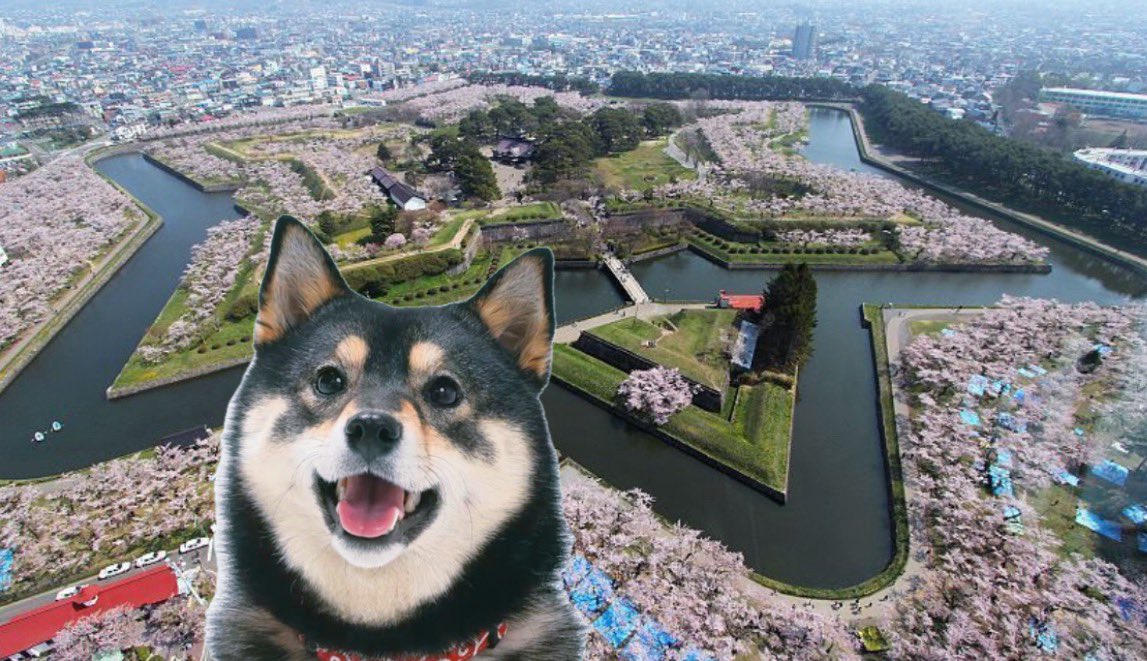 Hokkaido has spectacular views. I am very lucky girl! $ACO