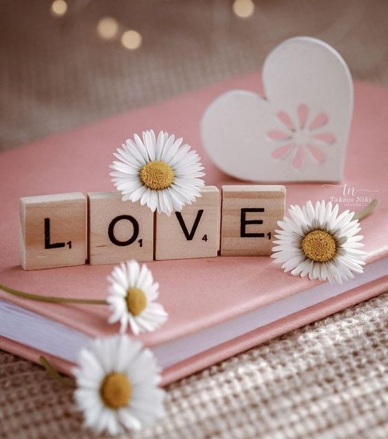 도깨비빵빵터지샘~ (@dokkaebibbang) on Twitter photo 