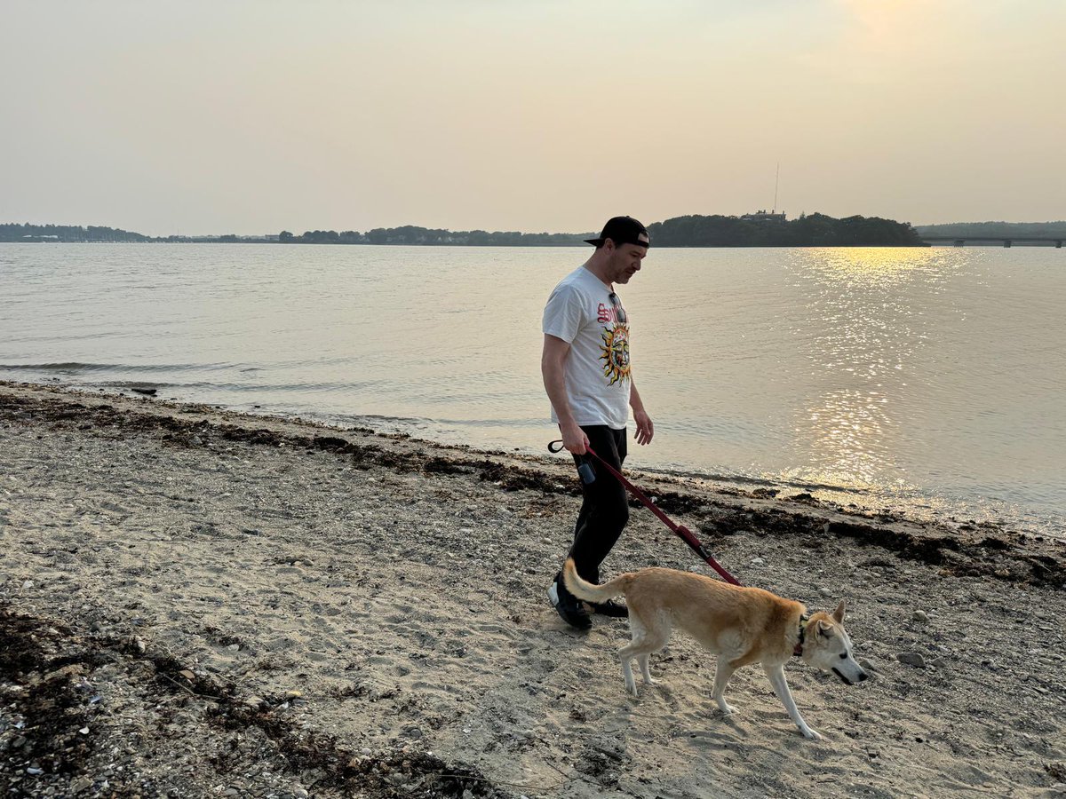 Benxit ⚡️💀 tweet media