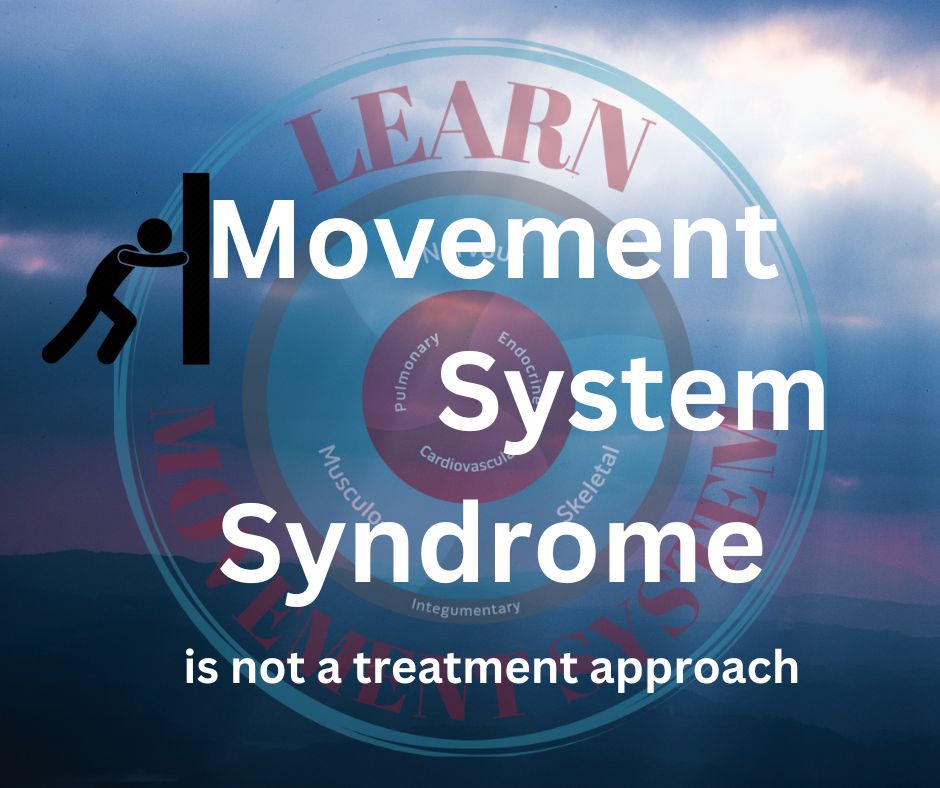 Learn Movement System tweet media