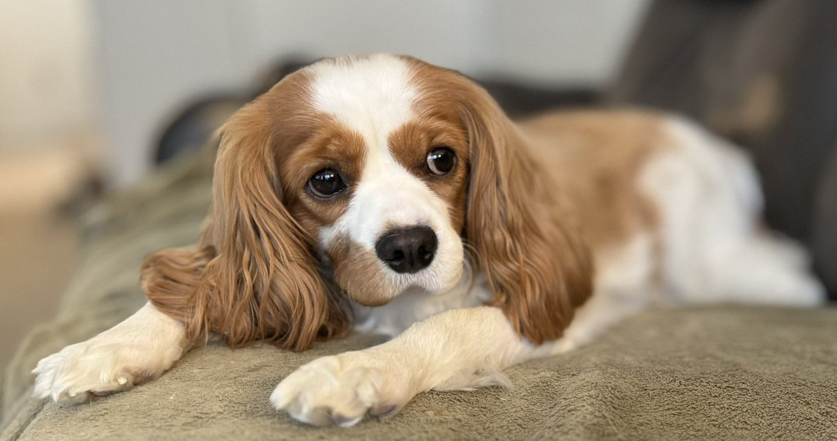 GregD513 tweet media