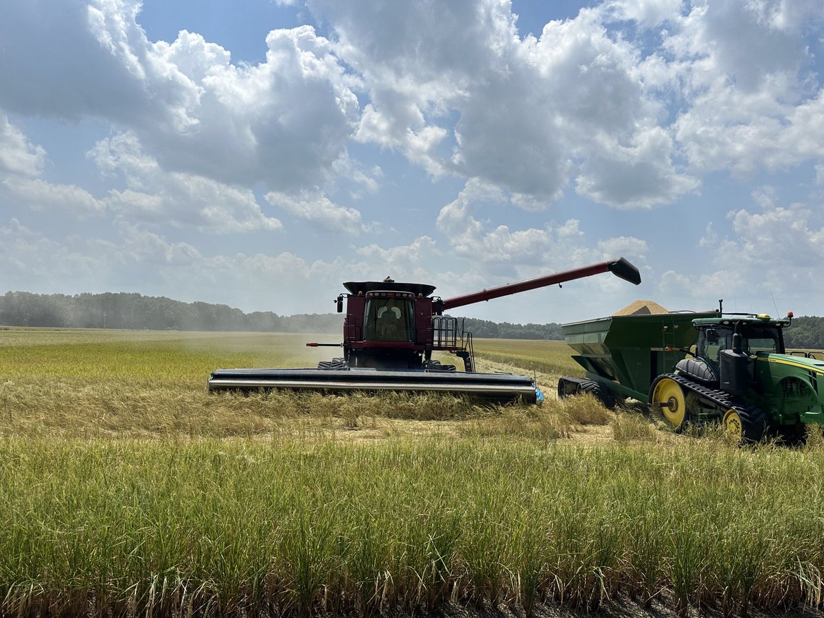 Crop Per Drop Contest harvest has begun. Lonoke County rice producer Adam Brown was first out of the gate with this Zero Grade Rice Field. Good luck to the Brown family.