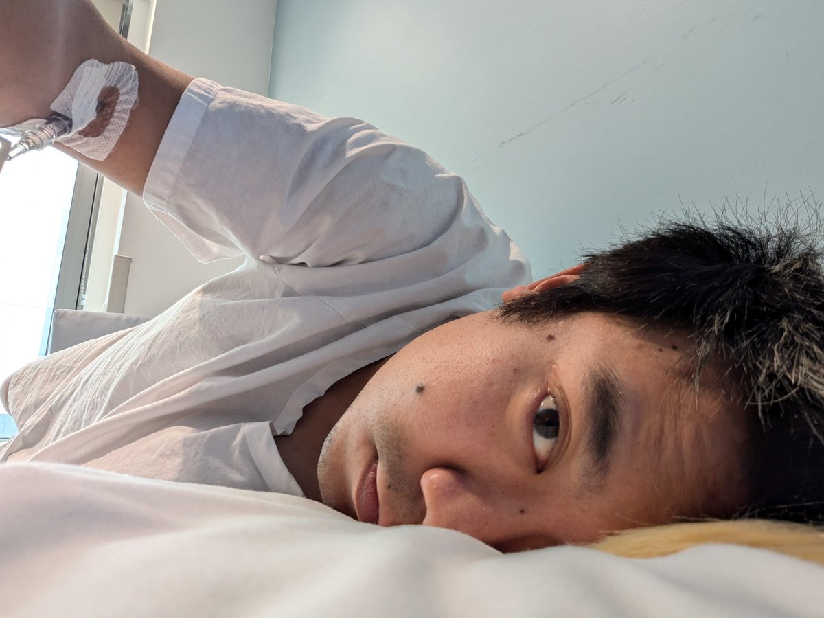 aRTi Husky 🐺 tweet media