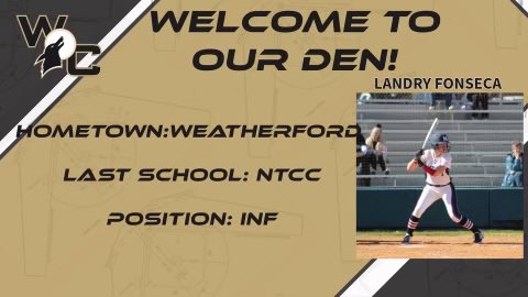 Landry Fonseca tweet media