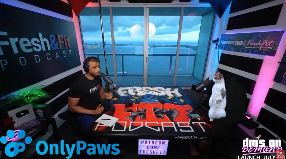 Onlypawsonsol's tweet photo. she just had her first @FreshandFitPod interview.

he kept talking about daddy issues.
not sure if he’s venting about himself but…

only paws 

meow meow 

En1rvE76Zc6tzVSzG2Ashjq13obxYVZfreHWDUAKpump https://t.co/se7nN911yB
