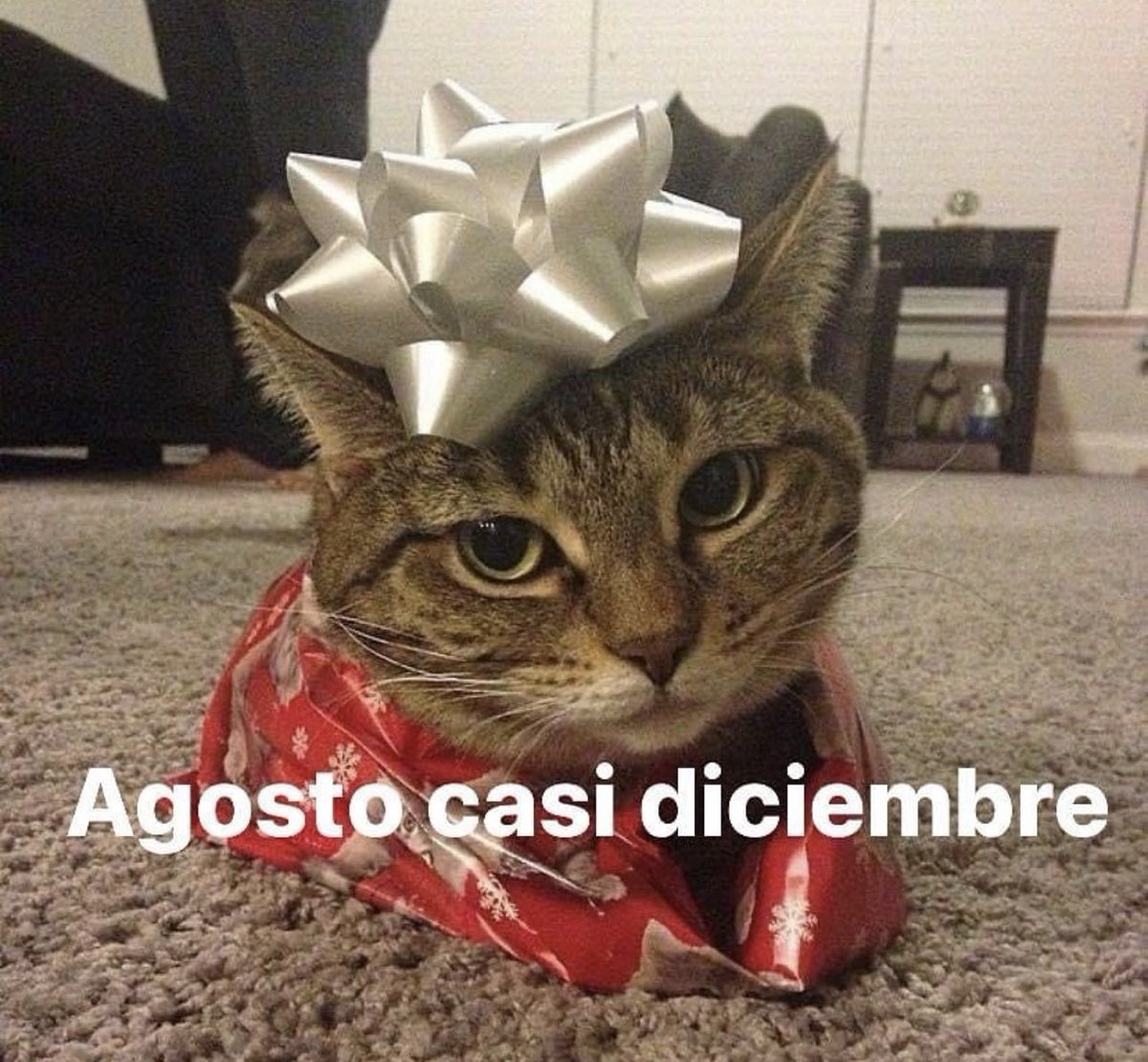 En Júpiter (@en_jupiter_) on Twitter photo 