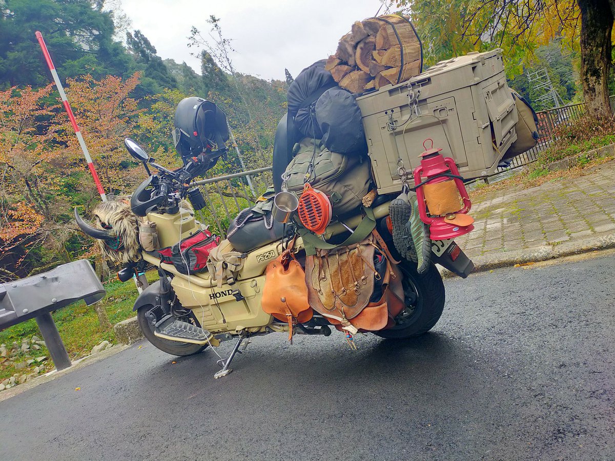 Nakashima tweet media