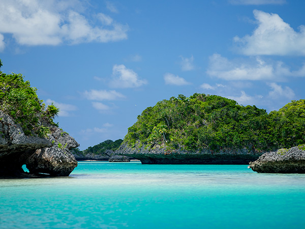 Captain Cook Cruises Fiji tweet media