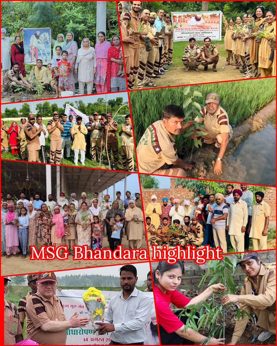 __iMVishal's tweet photo. Like every year, the birthday of Saint Gurmeet Ram Rahim Ji was celebrated this year too by doing many welfare activities.  #MSGBhandaraHighlights
#Treevolution https://t.co/zqT8ClANxR