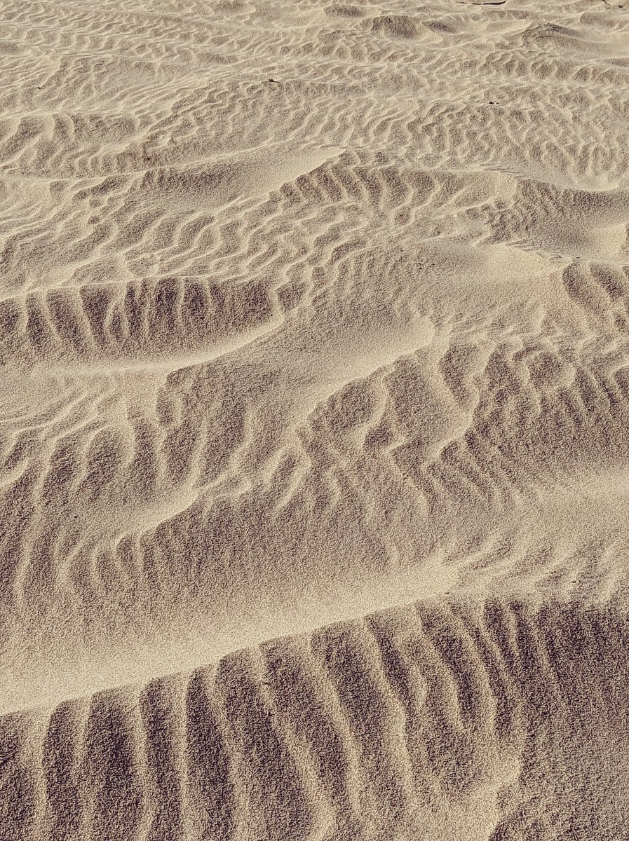 kikesanz273's tweet photo. Dunas de la playa. https://t.co/3iMh9KoDKx