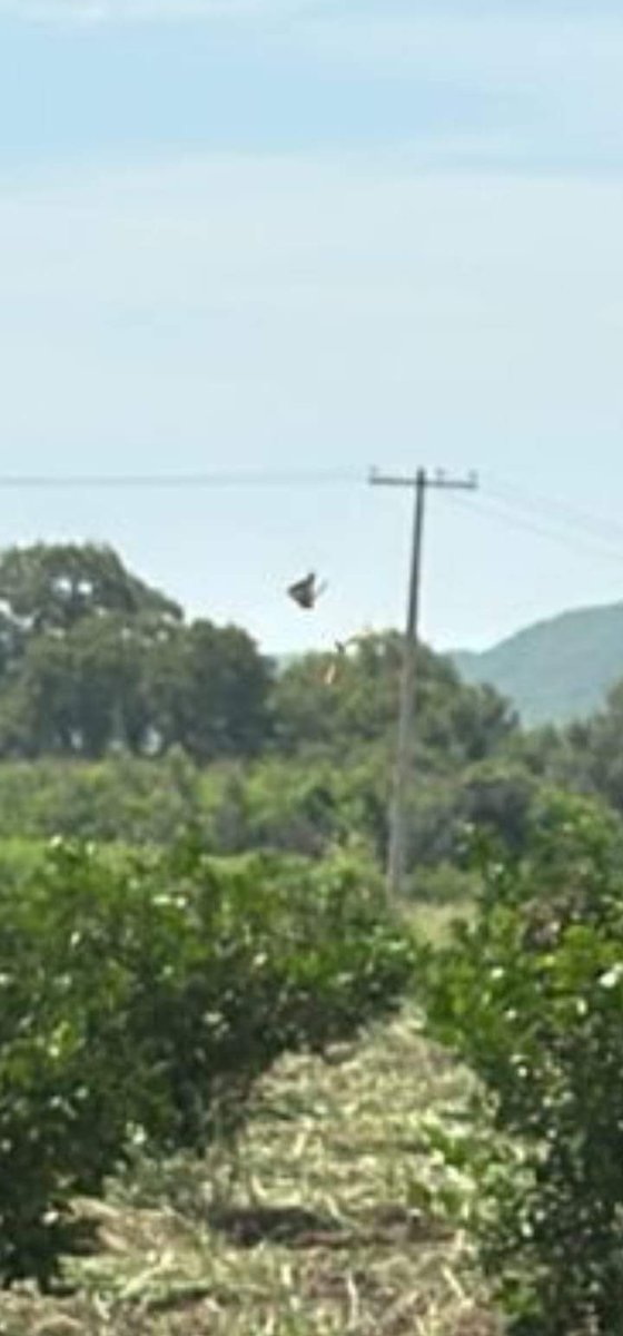 @QuePasaEnNL ®️ tweet media