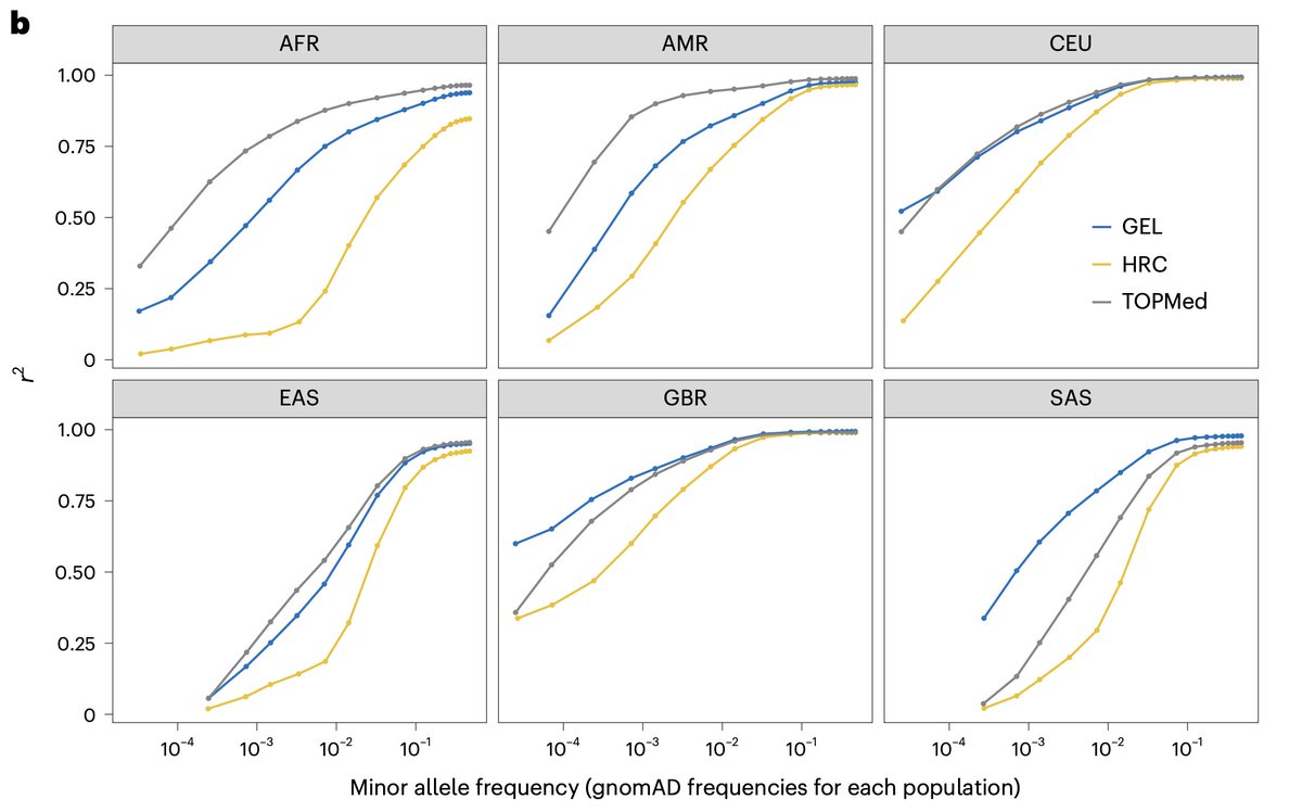 Comparison of imputation performance for rare variants between three reference panels (HRC, GEL (Genomics England), and TOPMed) in continental ancestries. While TOPMed is best (or as good as GEL) for European, African and admixed American ancestries, GEL panel is great for South