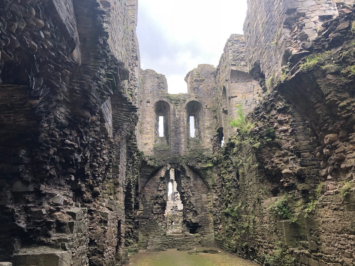 Cisco Q4 Results: Rising Orders Deliver Respite dlvr.it/TBz802