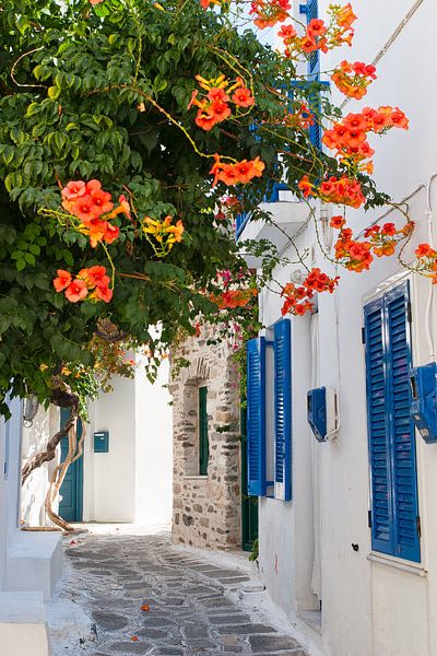 Northic Queen tweet media