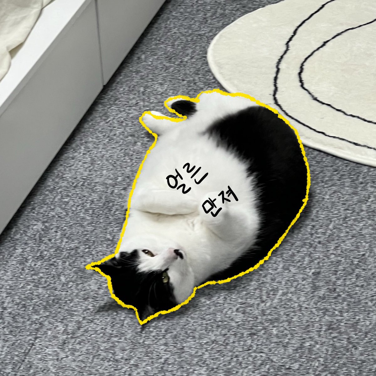 요즘 유행이길래