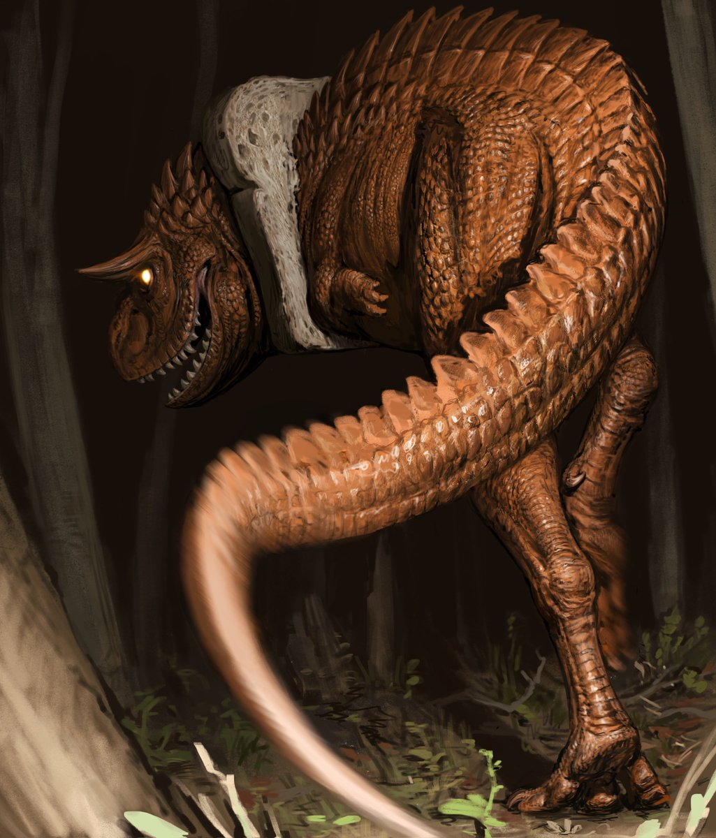 Mortimer M (Morty) tweet media