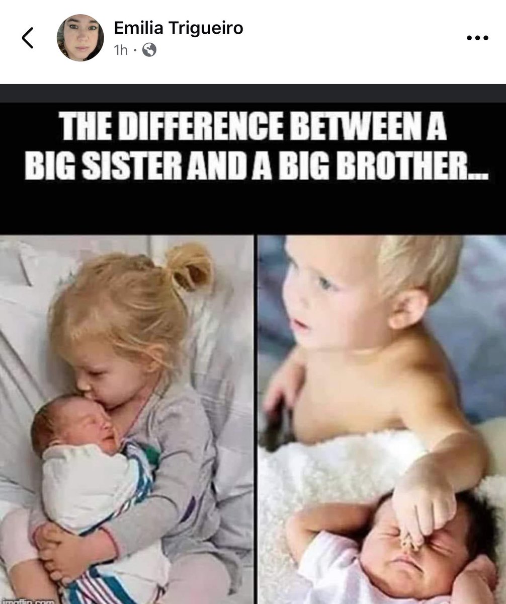 Royce Hood tweet media