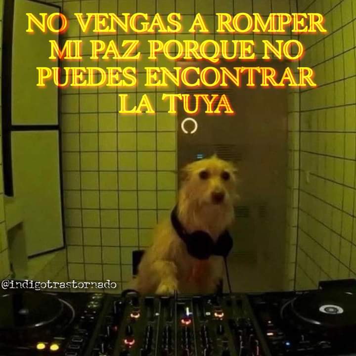 Nasty Poet (@nxstypxet) on Twitter photo 