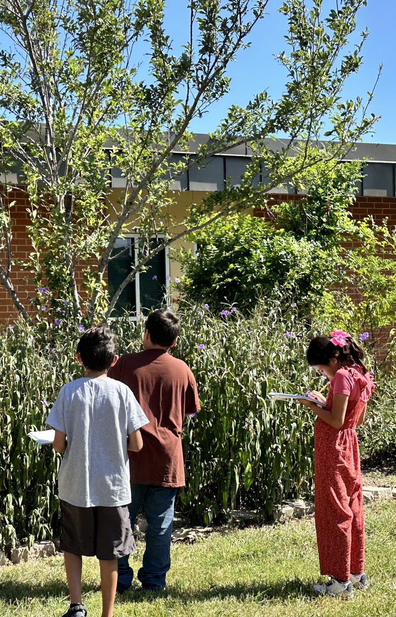Isabel_Anaya1's tweet photo. Stepped outside to find our entire 4th grade leading a lesson on making observations in the outdoor garden! 🌿 Such a great way to connect learning with nature. So proud of their curiosity and leadership! #OutdoorClassroom #LevelUp @Dpin1967 @NISDCable https://t.co/qQbpxdHXYP