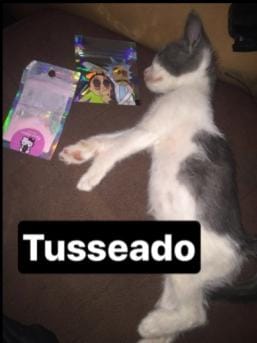 tio_cachito's tweet photo. @martinasof_ https://t.co/sOXgWUJCcx