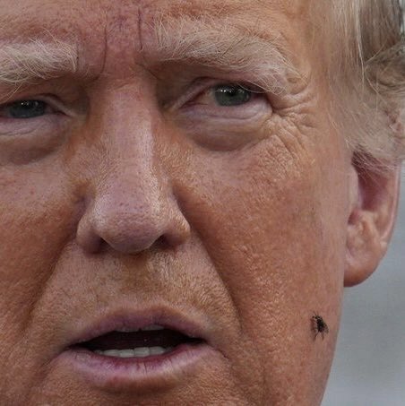 Jon Cooper 🇺🇸 tweet media